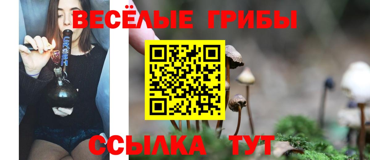 Галлюциногенные грибы ЛСД Бор